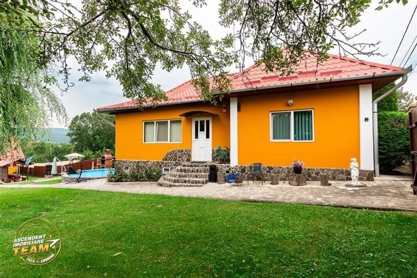 FILM&3D! Doua case cu:piscina,foisor,arbori decorativi,1.700mp teren,Lutoasa,Cov - 25