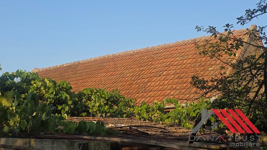 Topolovățu Mare – Casa si Teren 1683 mp - 48.500 euro - 9