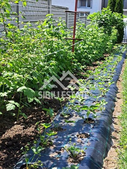 Casa moderna individuala cu 5 camere 184 mp utili , teren 500 mp . - 10