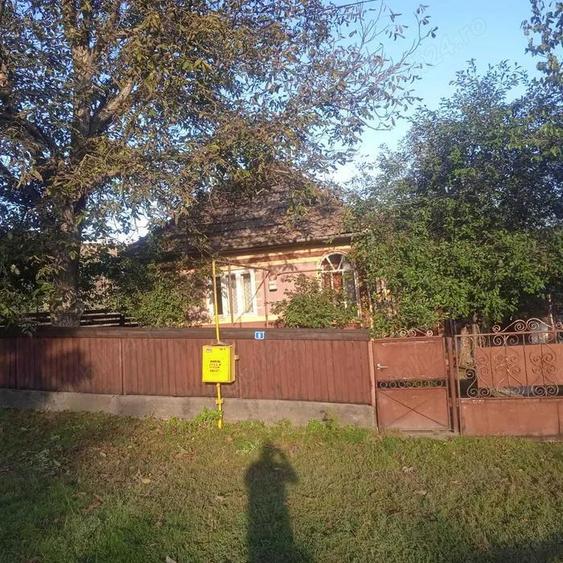 Vand casa in Visinelu cu 14 arii gradina - 2