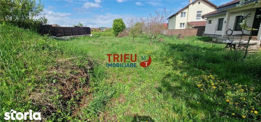 Teren de vanzare zona Micesti - 8