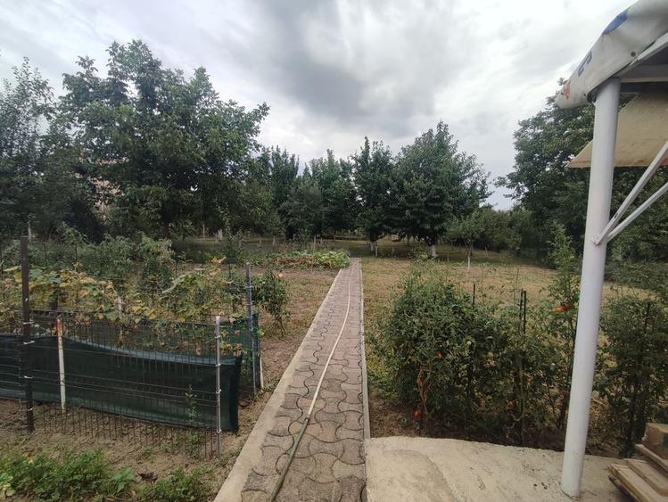 Sanadrei, Casa individuala, Suprafata teren generos, Garaj, terase si anexe - 5