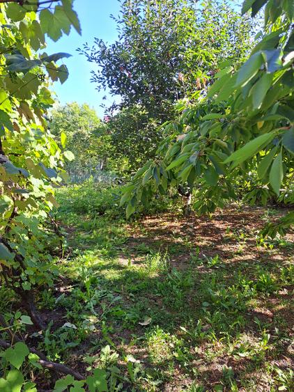 Casa-Vila ultrafinisata in regim D+P+E cu toate utilitatile cu 900 mp,teren - 25