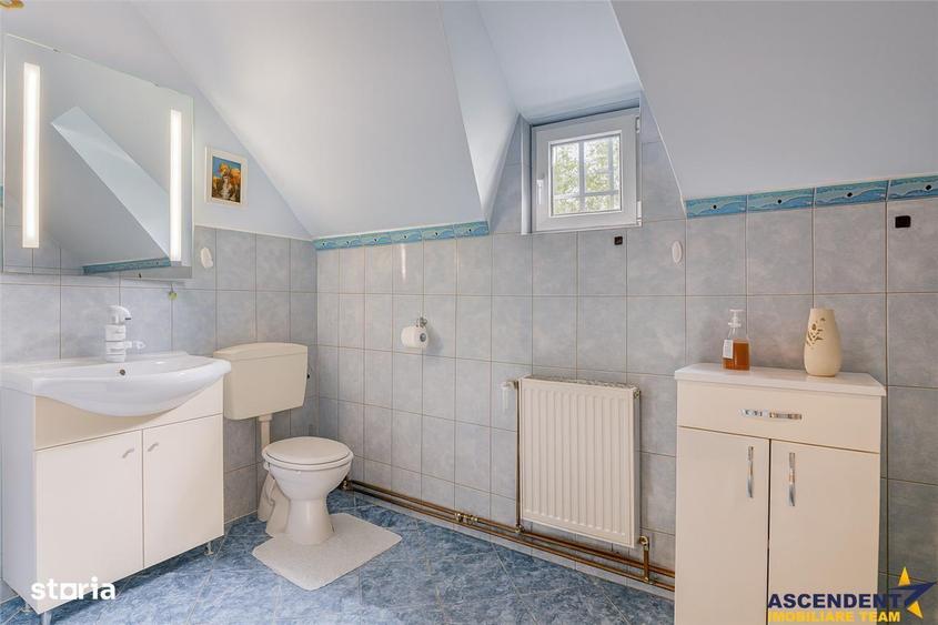 3D! Casa autentica,5.025 mp teren,in spectacolul montan al Cetatii Med - 15