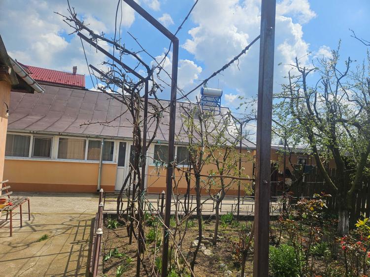 Casa Nanov Teleorman - 5