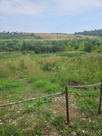 Vand teren intravilan,strada Budiului, 2 parcele,   total 5000 mp,neconstruibil. - 1