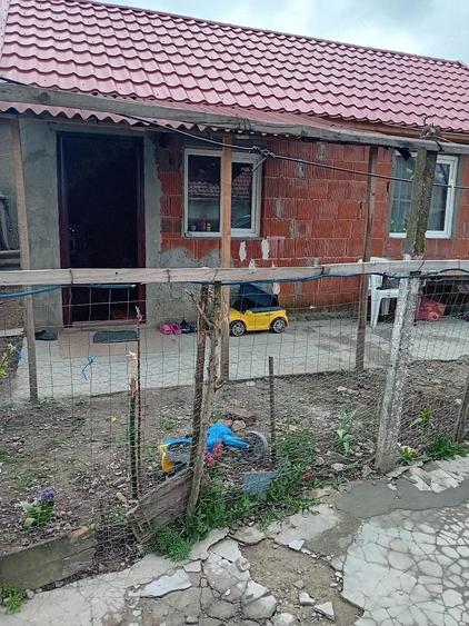 Casa de Vanzare Sanicolau Roman - 5