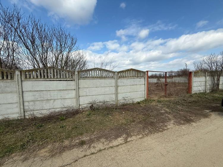 Teren de vanzare Caciulati Moara Vlasiei vedere lac - 1