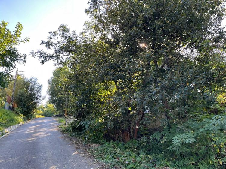 Teren 2030 mp | Sat Gheorghieni | Asfaltat | Pers. Fizica - 5