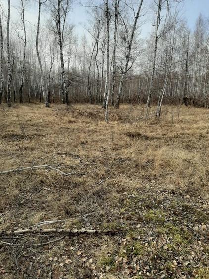 Vanzare teren intravilan - 5