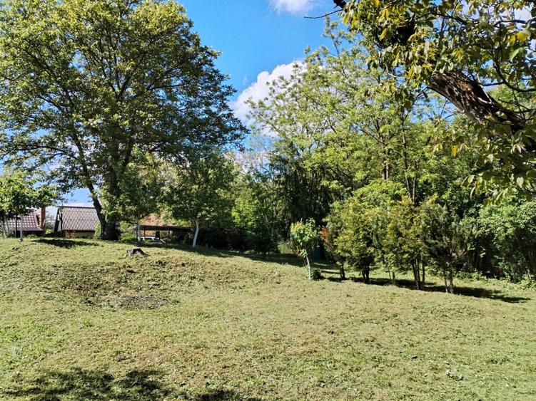 Teren de vanzare zona budiului - 6