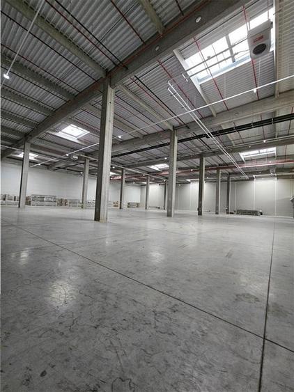 Spatiu Industrial - 6000 mp - Logistica - Productie - Depozitare - Distributie - 3