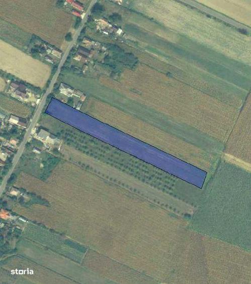 Teren intravilan de vanzare - 1