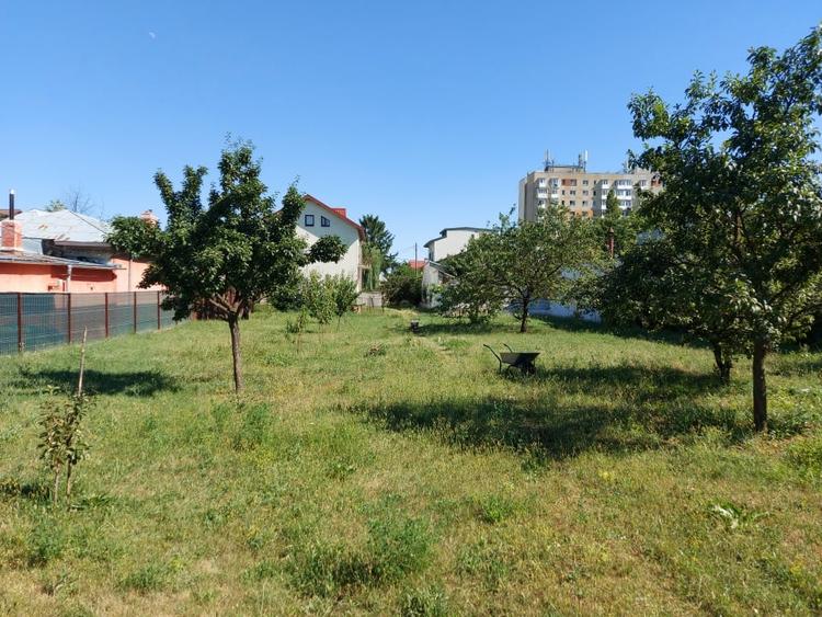 O proprietate imobiliara deosebita, formata din casa si mult teren! - 7