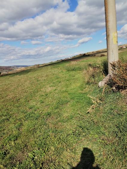 Teren extravilan 4600mp - 3