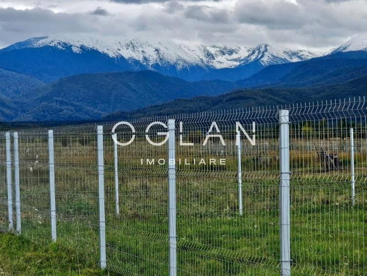 SUPER PRET! Teren 2400 mp Valea Avrigului SIBIU - 1