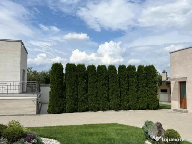 Casa de Lux zona Selimbar - 5