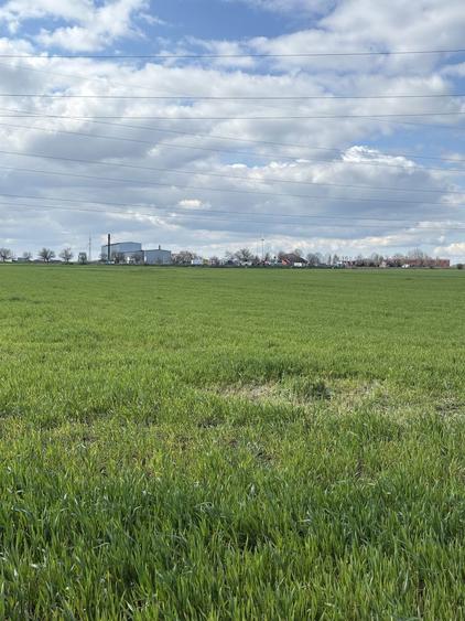 Teren de vanzare pe drumul Usas !! - 4