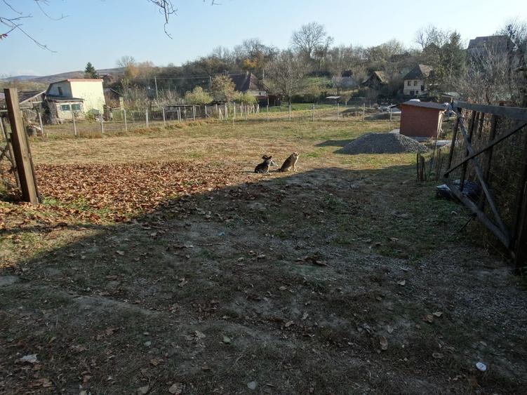 De vanzare teren pentru constructie in Sanvasii - 4