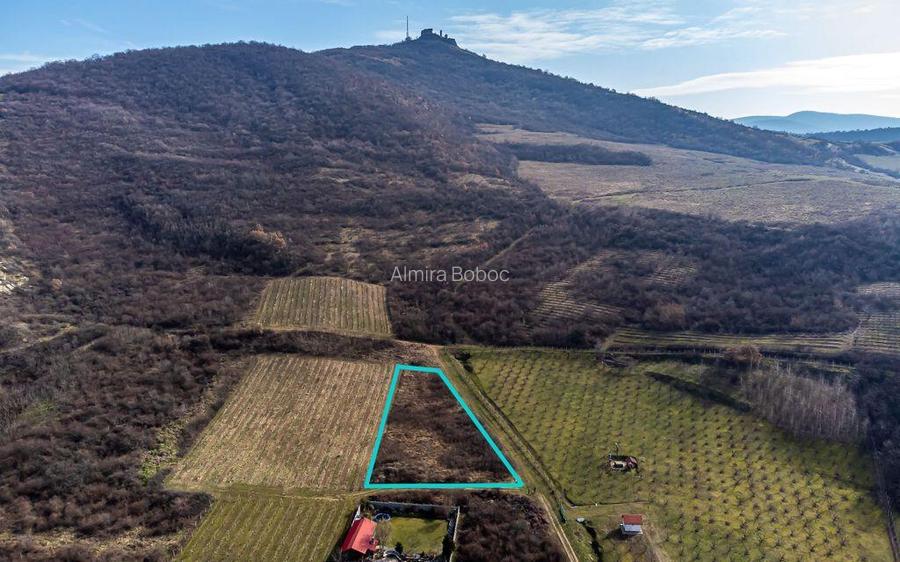 Teren intravilan in ?iria pe deal Teren intravilan in ?iria pe deal