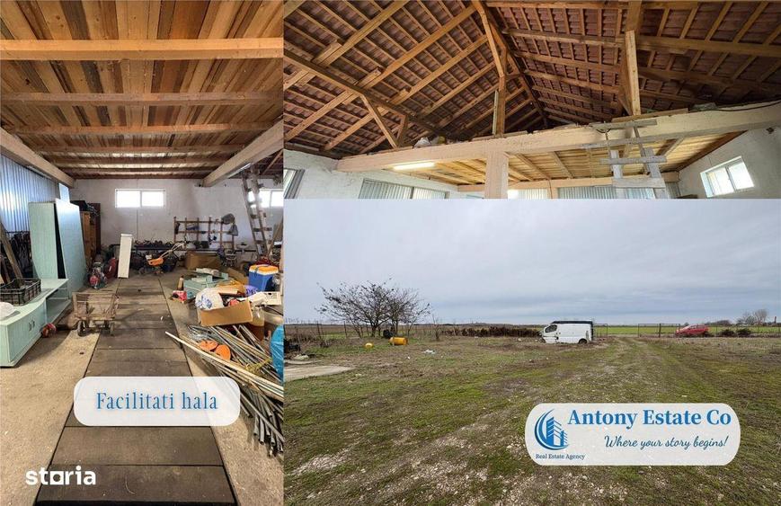 Hala de inchiriat, In Cauaceu - 4