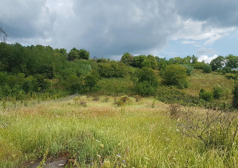 Parava, sat Dragusani, teren 4800mp, la asfalt - 16