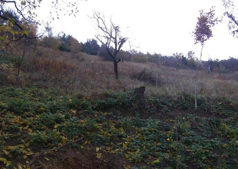 Teren intravilan 20.374mp, cu utilitati si sursa proprie apa, Schei, Brasov - 2