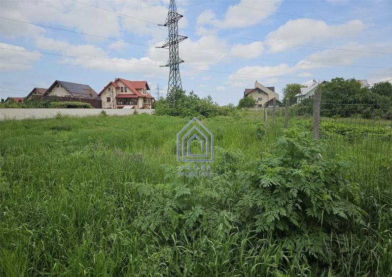 Teren , Sf Ilie Nou, zona Profi - 2