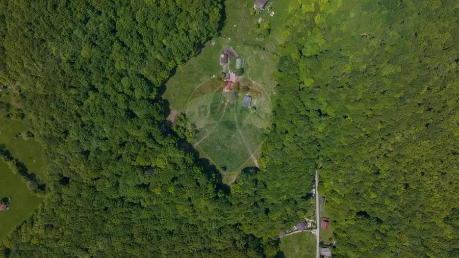 Teren de vanzare Colonia 1 Mai, 5.310 mp, ideal pentru investi?ie - 6