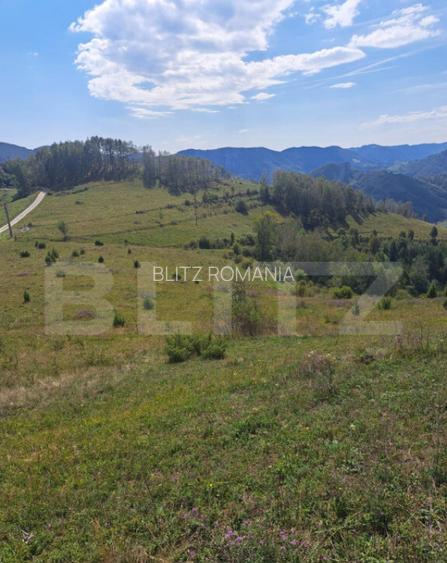 Teren extravilan 4.604 mp cu curent ideal pentru cabana