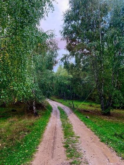 Teren 7,350mp Bulz / Drumul Secundar - 3