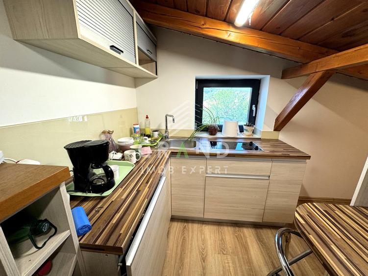 Hală multifuncțională+spații administrative/de locuit 558mp | Iris–Piața 1 Mai - 40