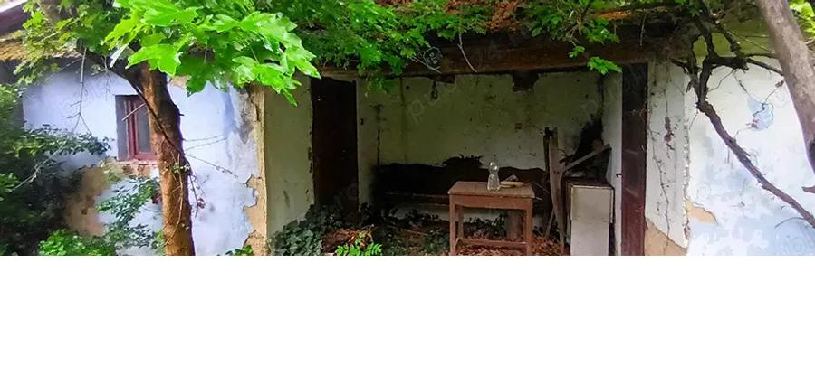 Vand proprietate in Vadu Cri?ului, jud. Bihor - 5