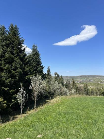 Vand teren pentru cabana - 3
