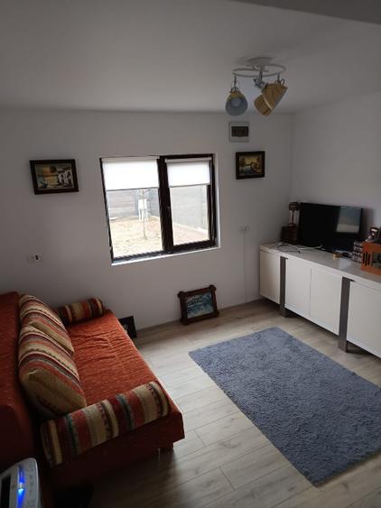 Casa vacanta,Albota,Morlovani - 10