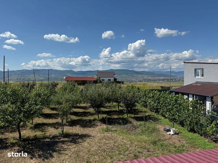 Cabana de lemn, 2 camere, teren 850 mp, livada, Oarda, Alba Iulia - 4