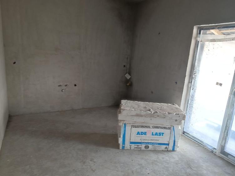 Sanandrei, Casa Individuala,, Suprafete Generoase, - 9