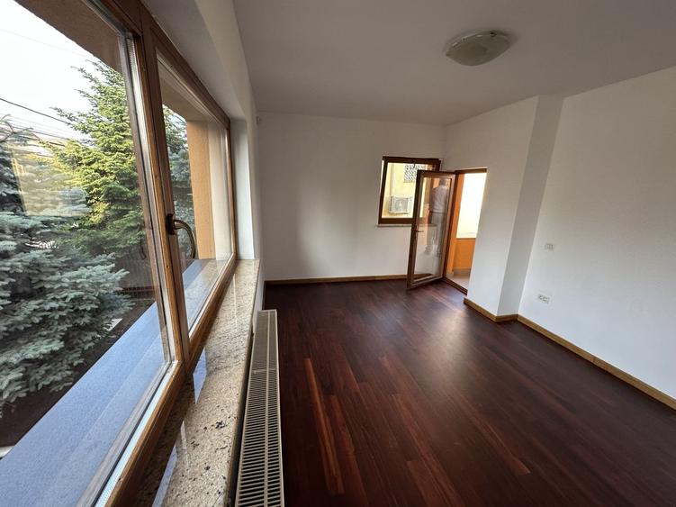 Proprietate cu piscina Dumbravita - 28