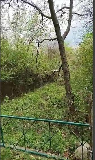 Teren la Rau si Padure Ideal Cabana, Liniste Totala - 4