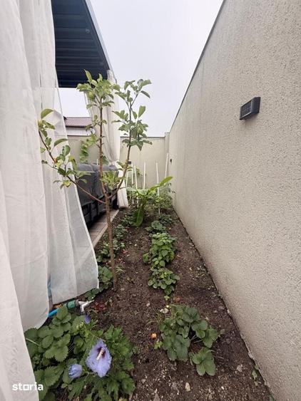 Casă cu 4 camere cu Teren 200 Mp în Olteni