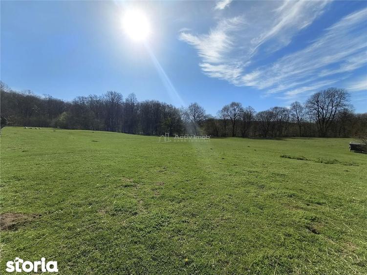 Teren de vanzare in Talmaciu zona Bratanu - 4