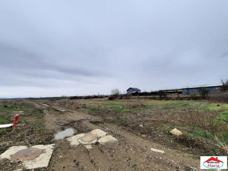 Teren intravilan 12216 mp in Vetis construibil - 6