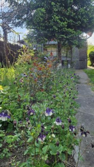 Casa de vanzare în loc. Dițești, com. Filipeștii de Pădure, jud. Prahova - 1