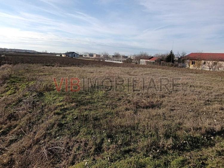 Teren intravilan investitie, urbanism rezidential si dotari, Bucovat - 1