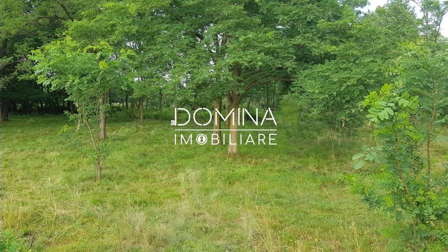 Vanzare teren intravilan 6843 mp, aproape de Manastirea Polovragi - 2