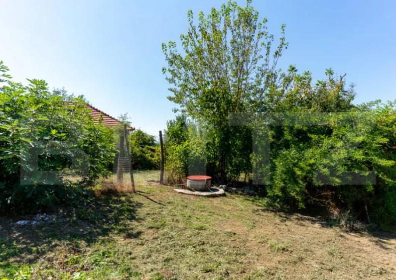 Casa de vanzare in Rovina(Branisca) - 4