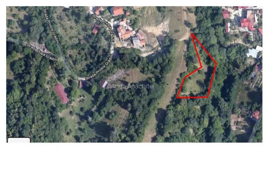 Teren 1577 mp zona Schei