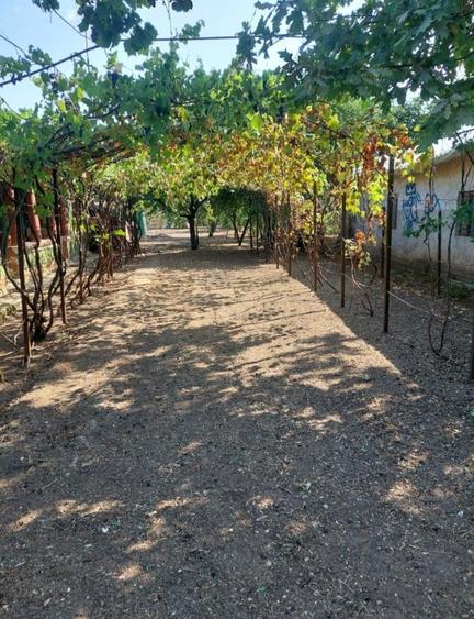 Vand casa langa Bucuresti - 7