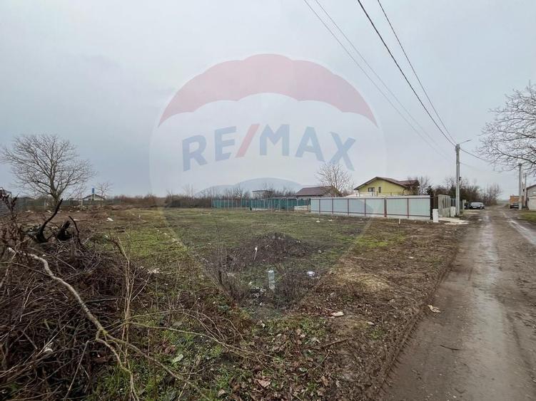 Teren de vanzare 1001 mp, Islaz, Branesti Ilfov - 10