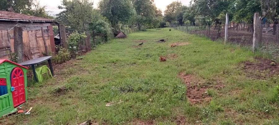 Teren intravilan, 1000 mp, Iezureni Gorj - 2